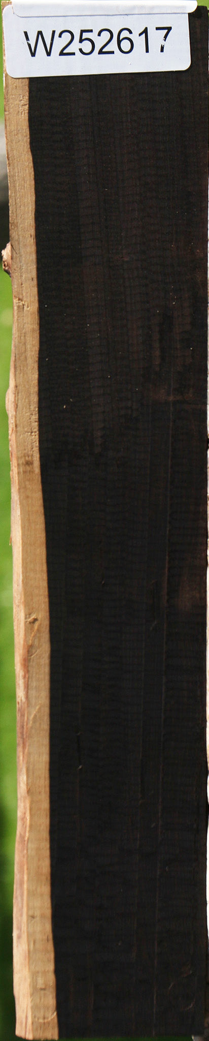 African Blackwood Live Edge Micro Lumber
