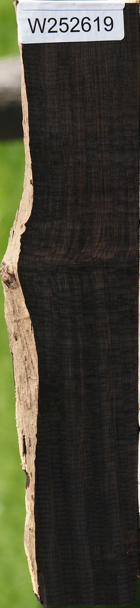 African Blackwood Live Edge Lumber