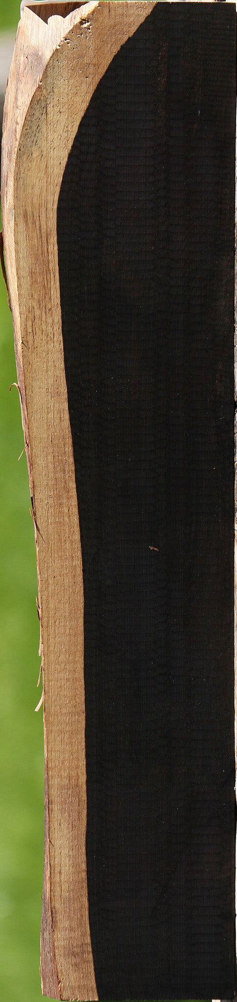 African Blackwood Live Edge Lumber