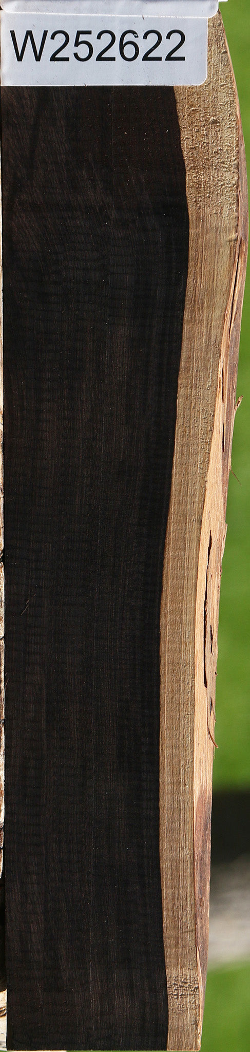 African Blackwood Live Edge Lumber