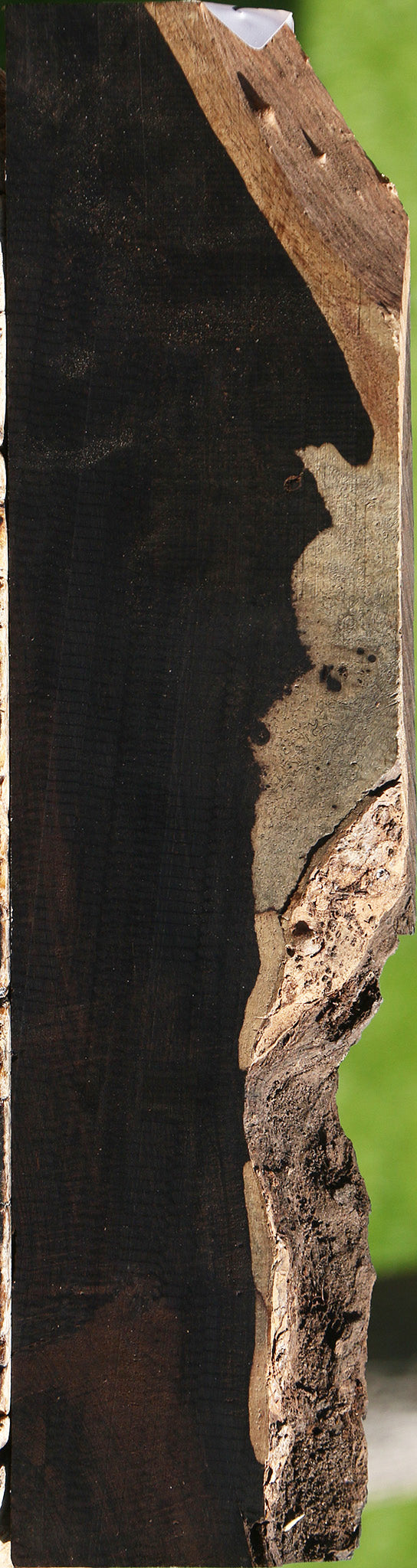 African Blackwood Live Edge Lumber