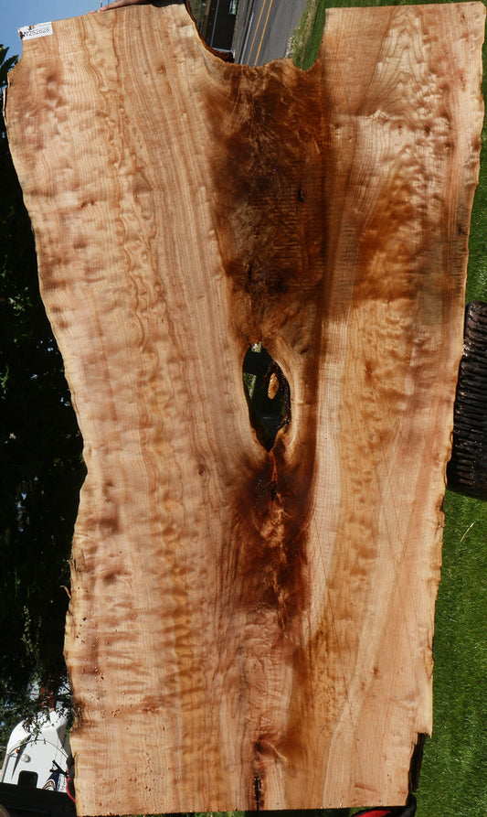 Extra Fancy Quilted Maple Live Edge Slab