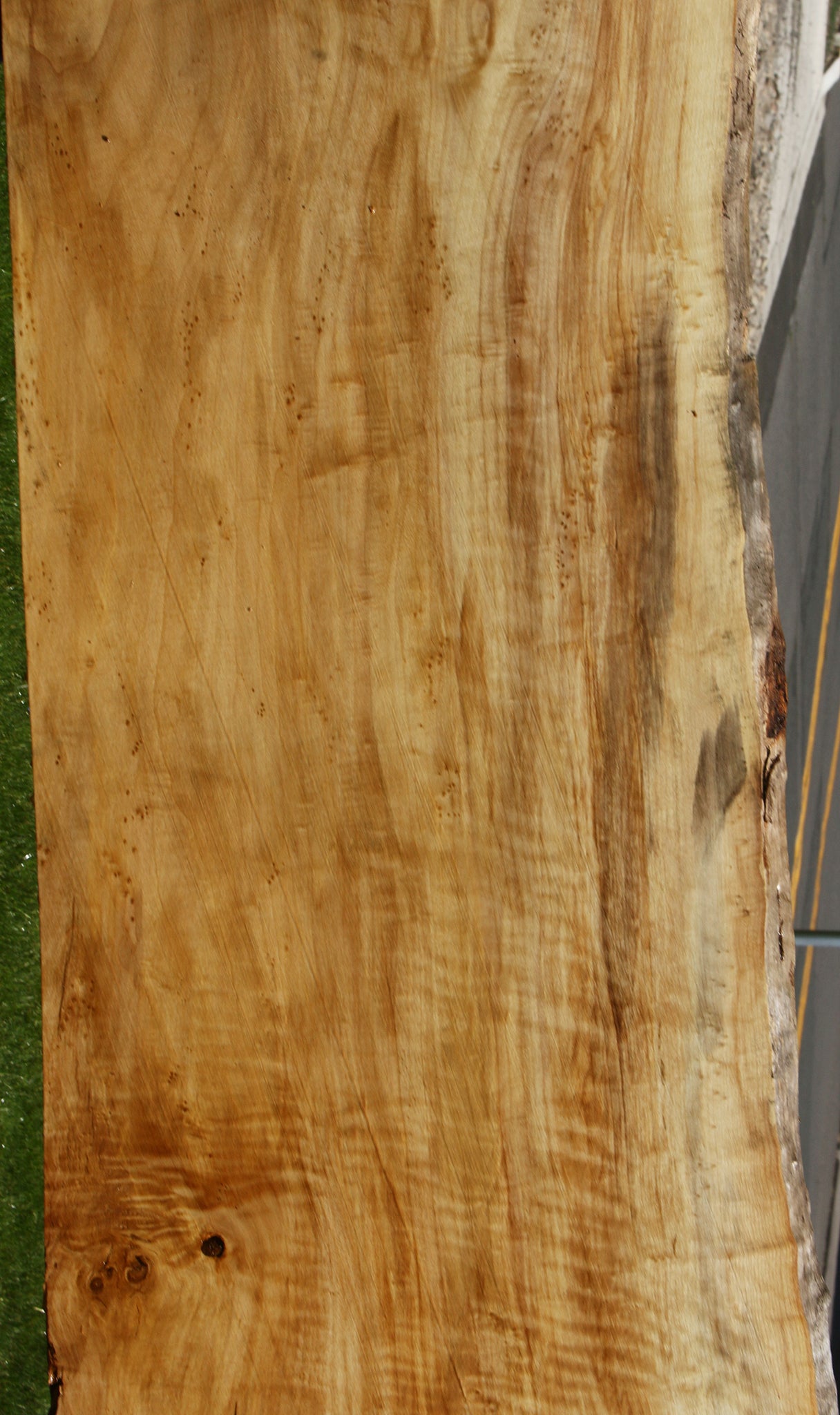Extra Fancy Black Cottonwood Live Edge Slab