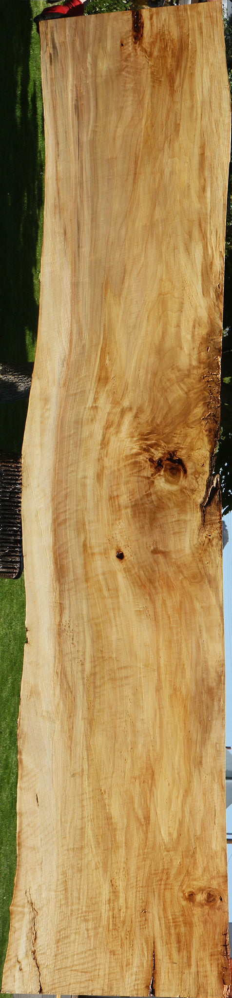 Extra Fancy Black Cottonwood Live Edge Slab