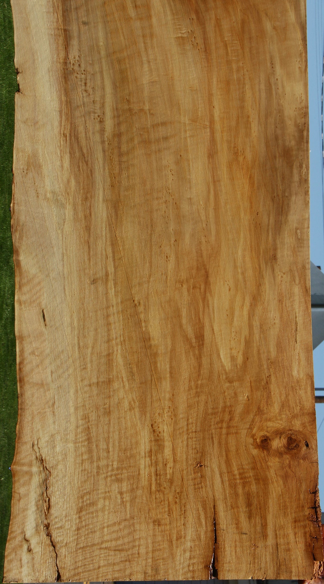 Extra Fancy Black Cottonwood Live Edge Slab