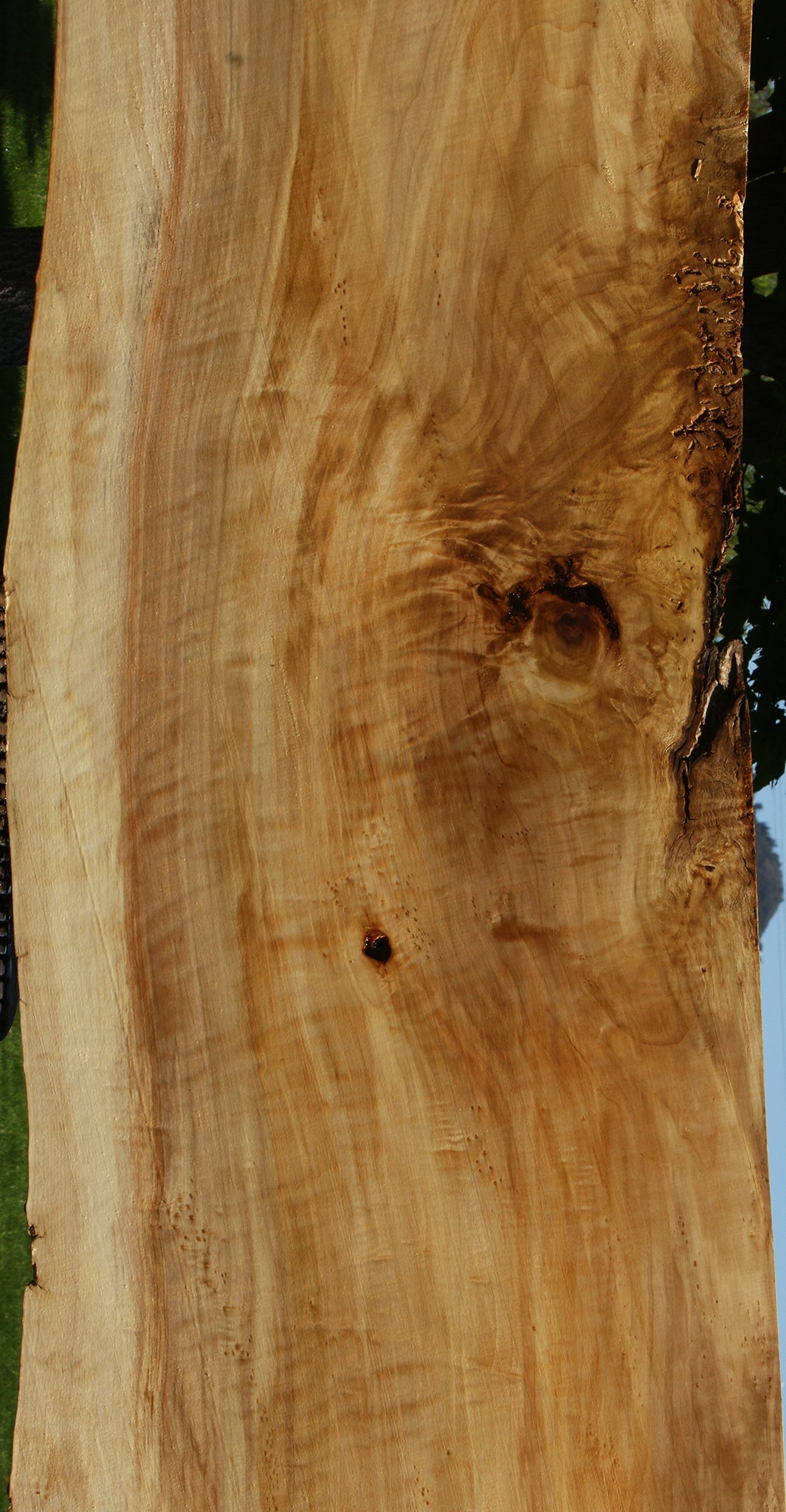 Extra Fancy Black Cottonwood Live Edge Slab