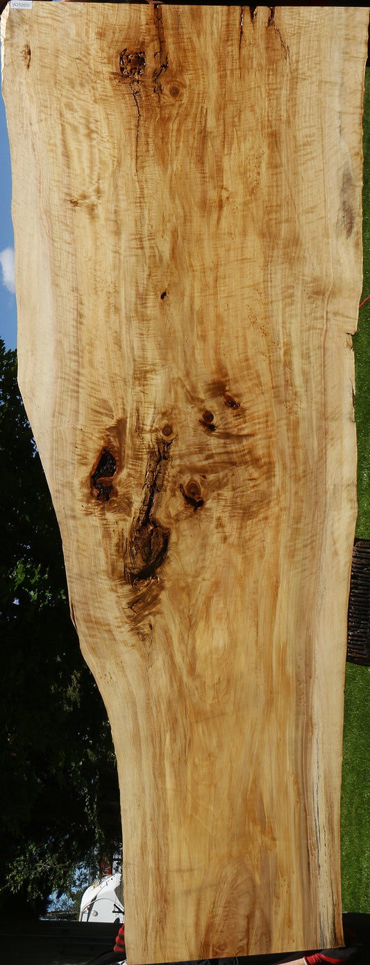 Extra Fancy Black Cottonwood Live Edge Slab