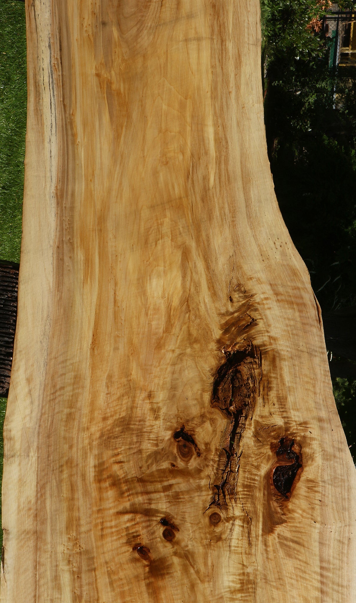 Extra Fancy Black Cottonwood Live Edge Slab