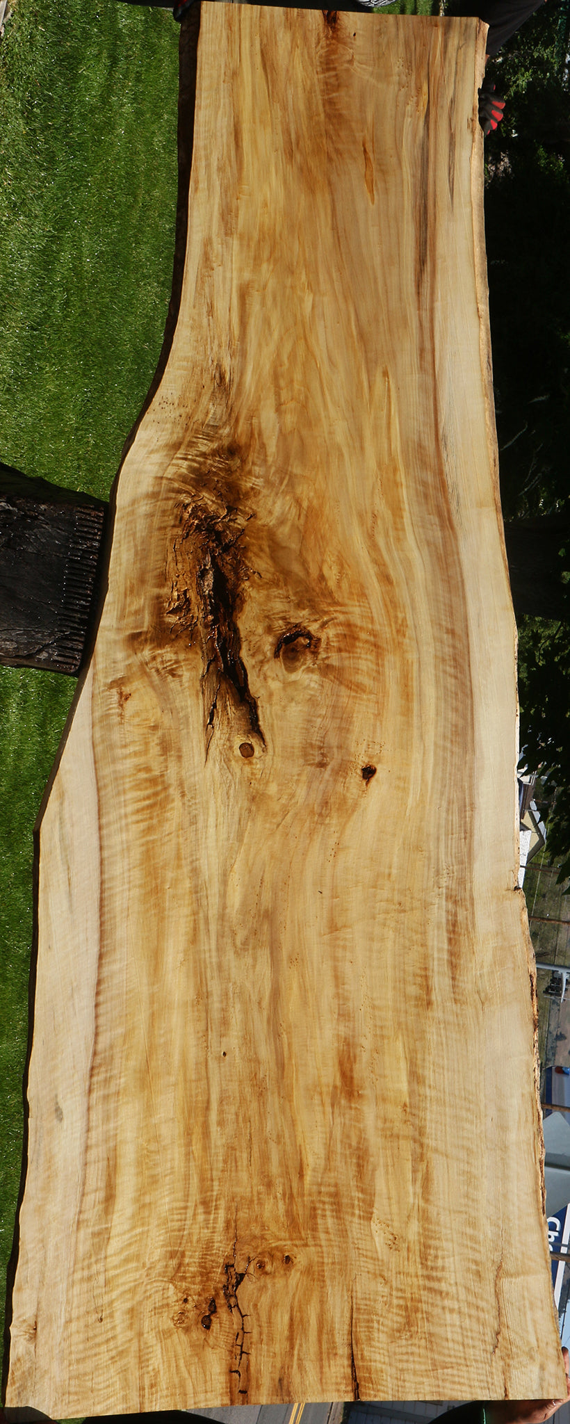 Extra Fancy Black Cottonwood Live Edge Slab