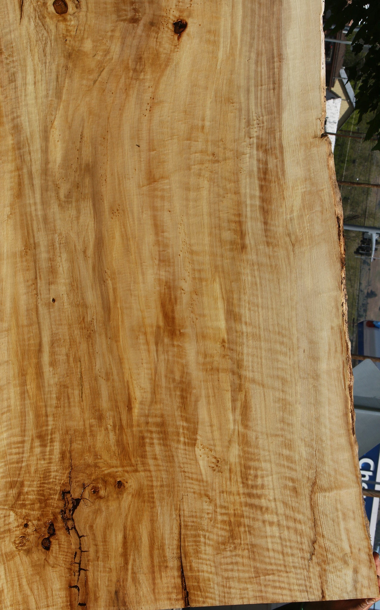 Extra Fancy Black Cottonwood Live Edge Slab