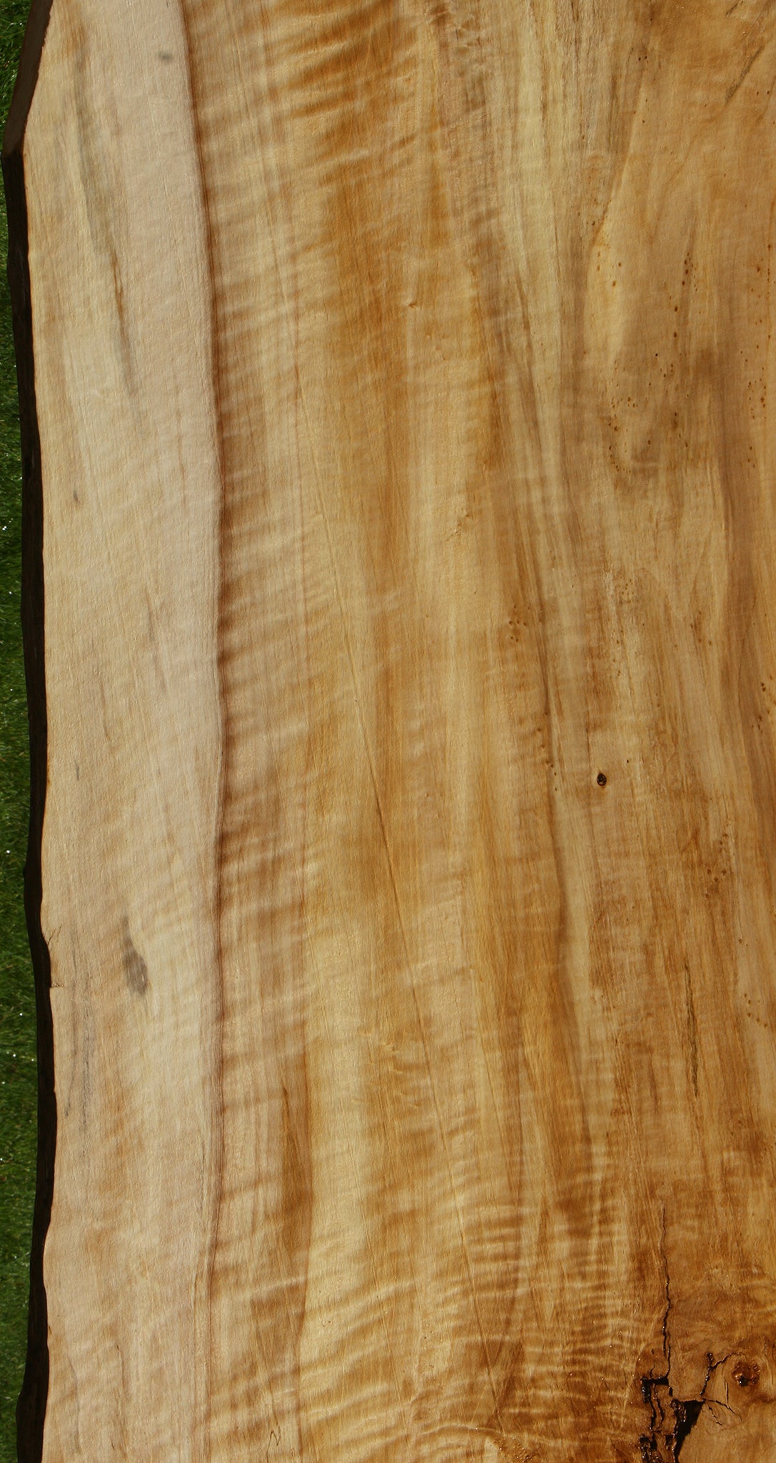 Extra Fancy Black Cottonwood Live Edge Slab