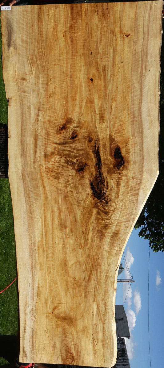 Extra Fancy Black Cottonwood Live Edge Slab