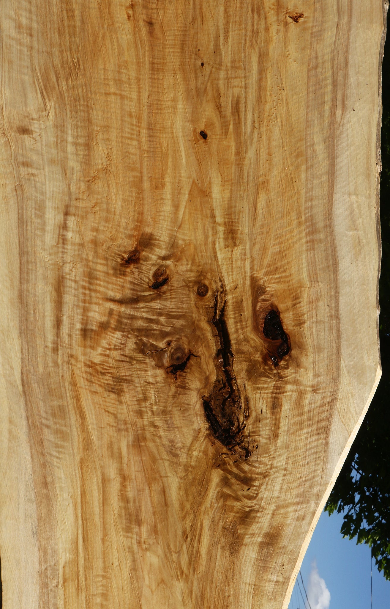 Extra Fancy Black Cottonwood Live Edge Slab