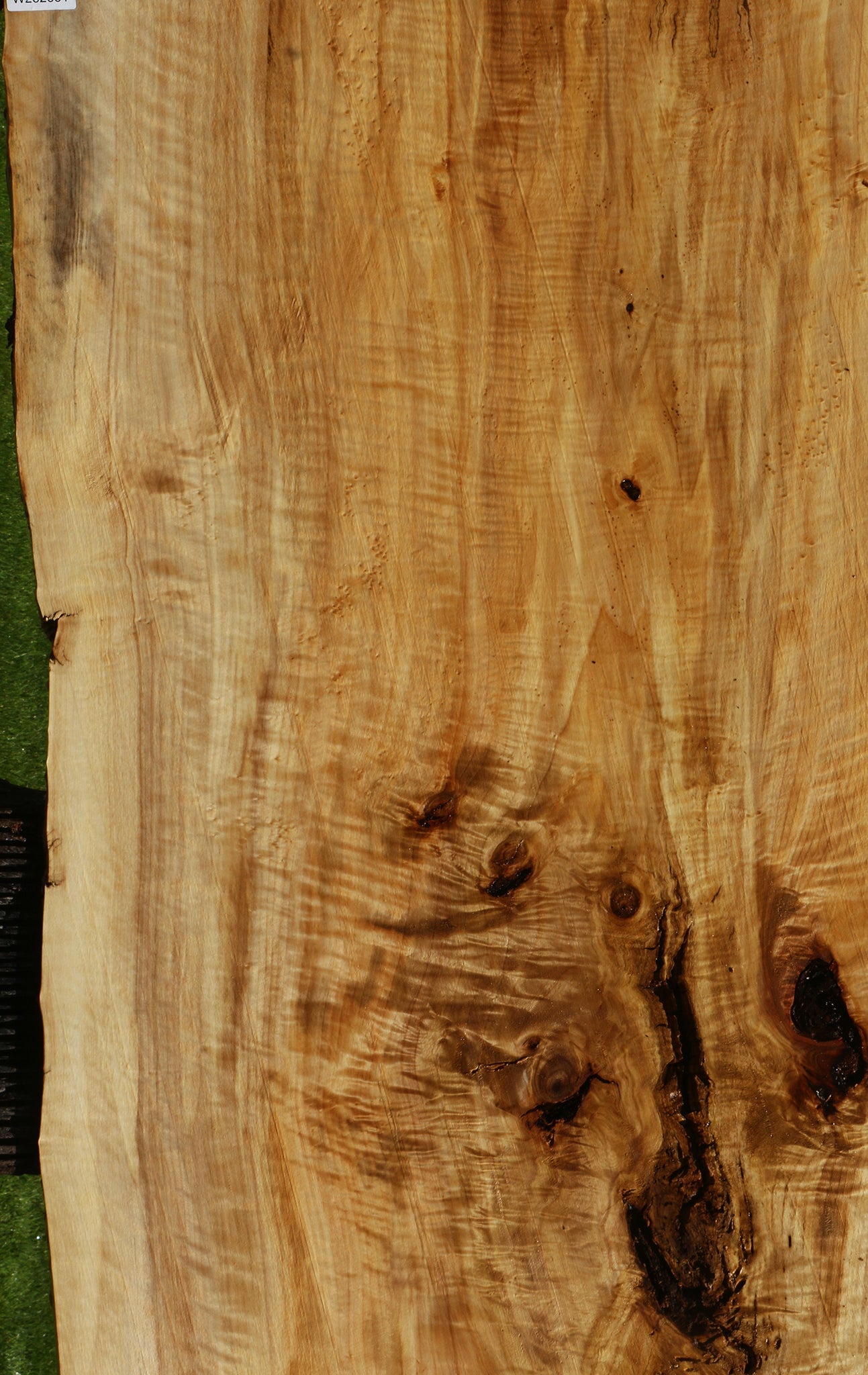 Extra Fancy Black Cottonwood Live Edge Slab