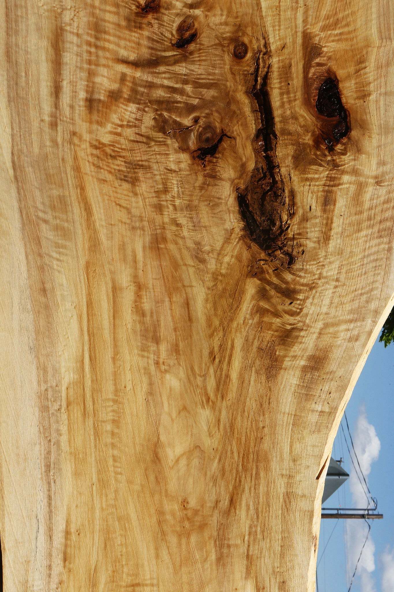 Extra Fancy Black Cottonwood Live Edge Slab