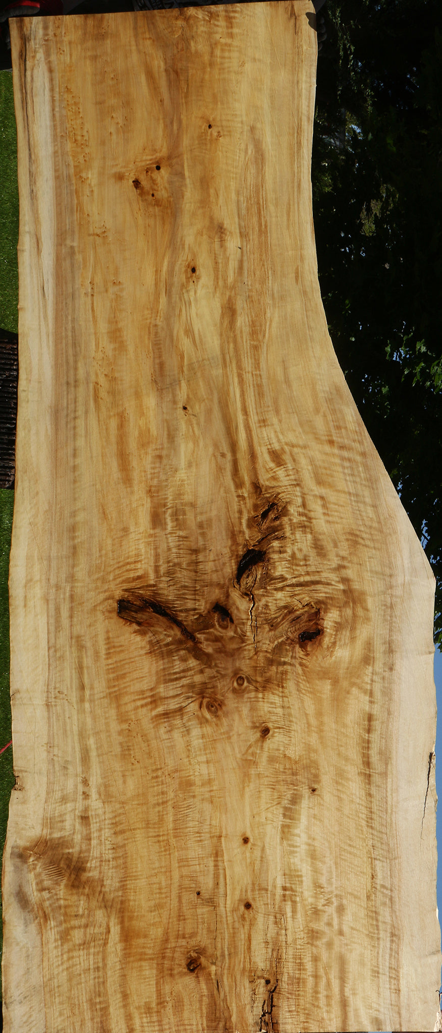 Extra Fancy Black Cottonwood Live Edge Slab