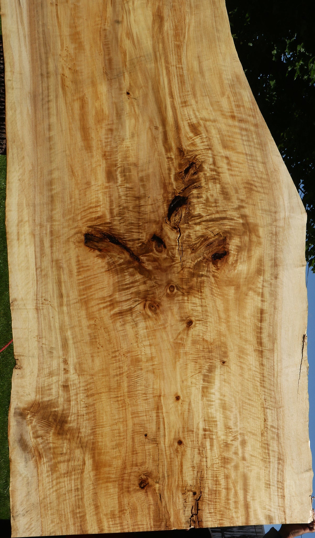 Extra Fancy Black Cottonwood Live Edge Slab