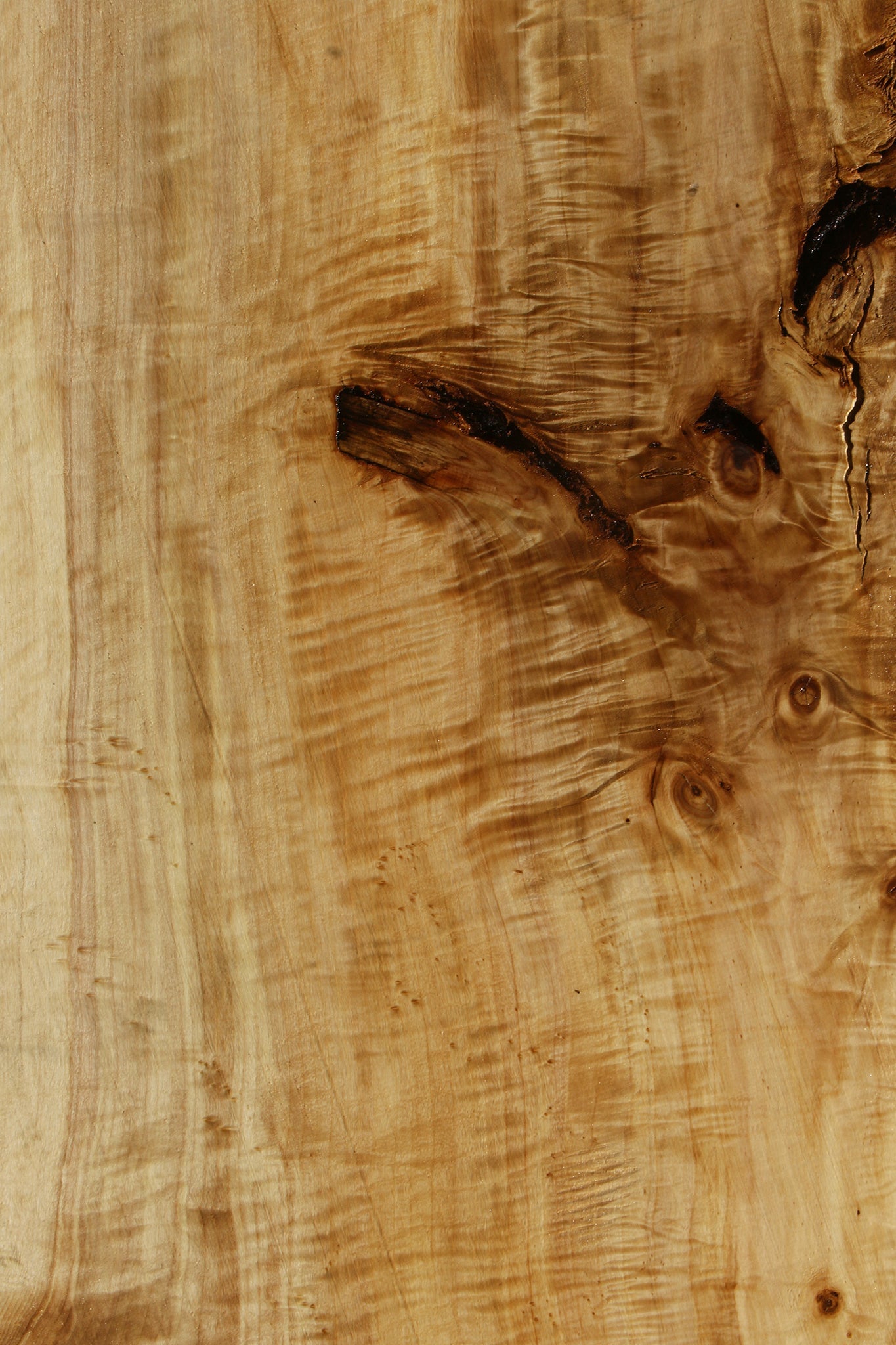 Extra Fancy Black Cottonwood Live Edge Slab