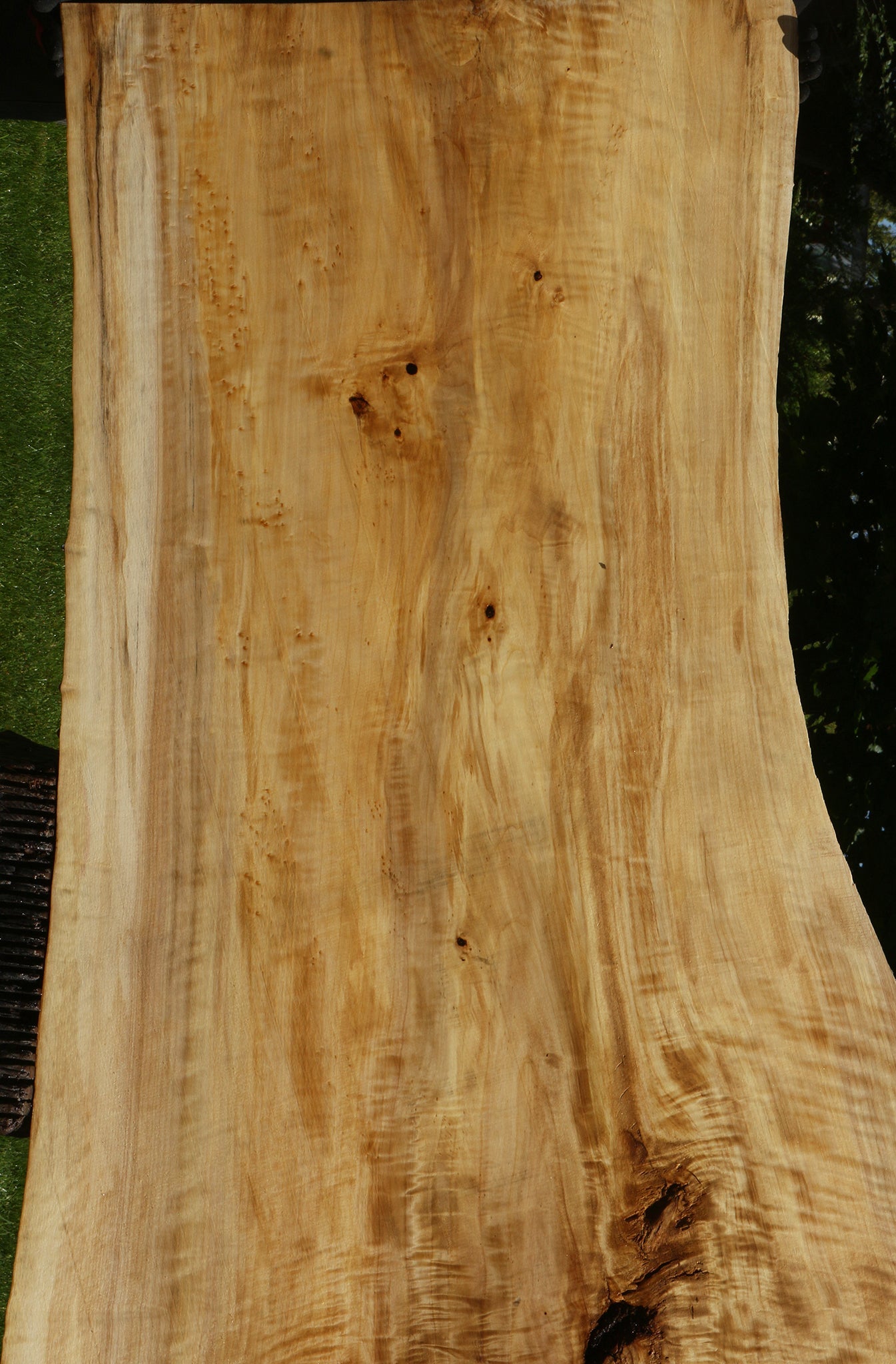 Extra Fancy Black Cottonwood Live Edge Slab