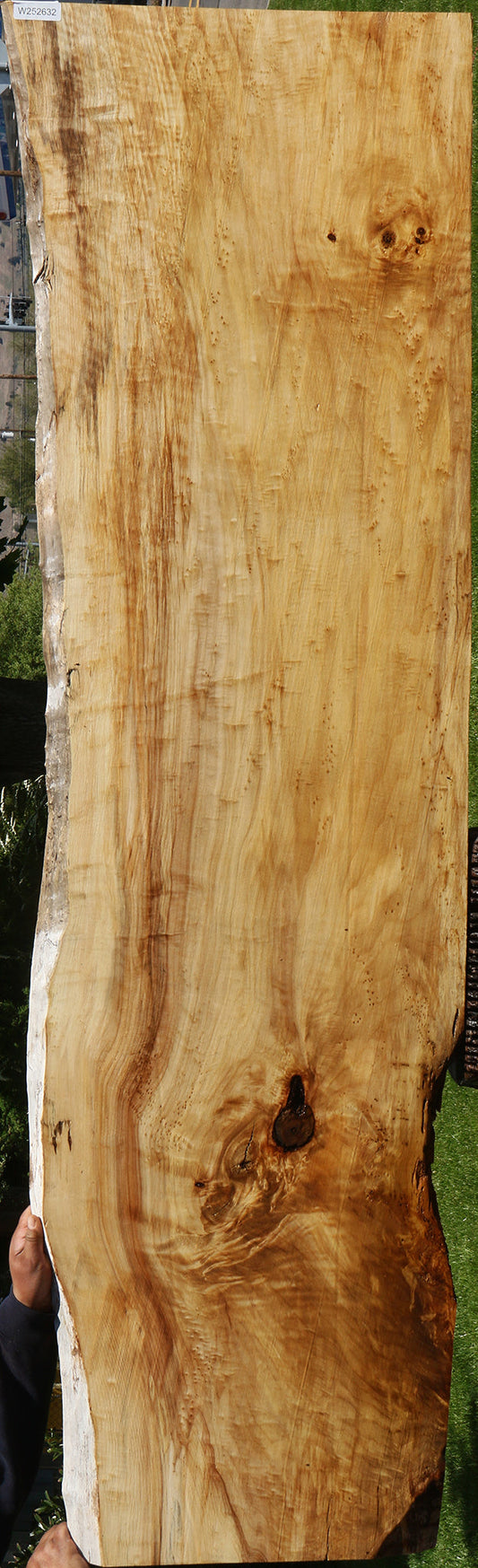 Extra Fancy Black Cottonwood Live Edge Slab