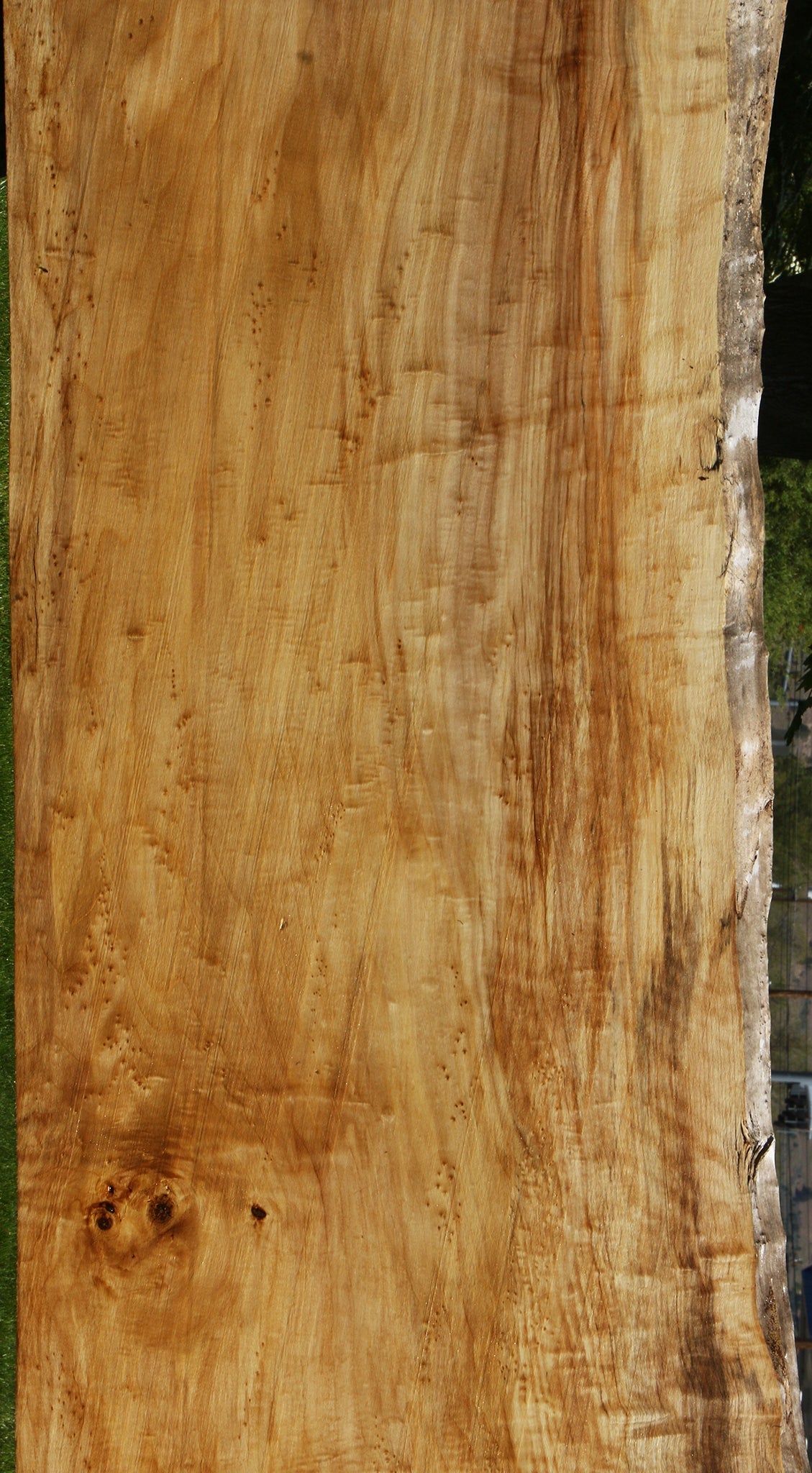 Extra Fancy Black Cottonwood Live Edge Slab
