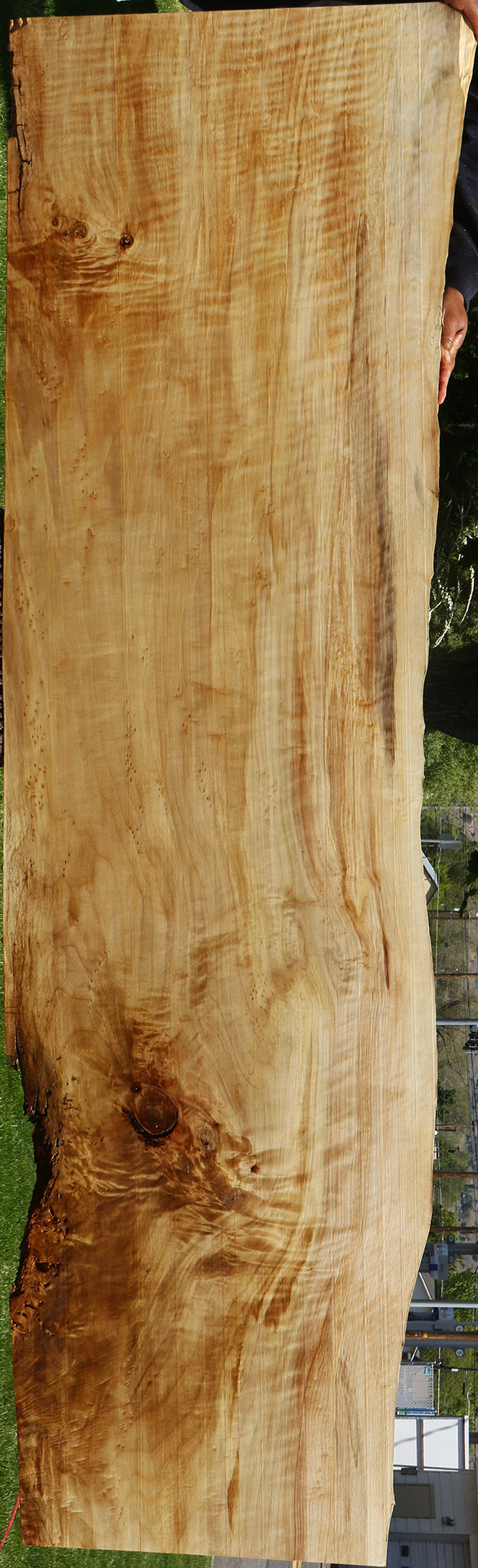 Extra Fancy Black Cottonwood Live Edge Slab