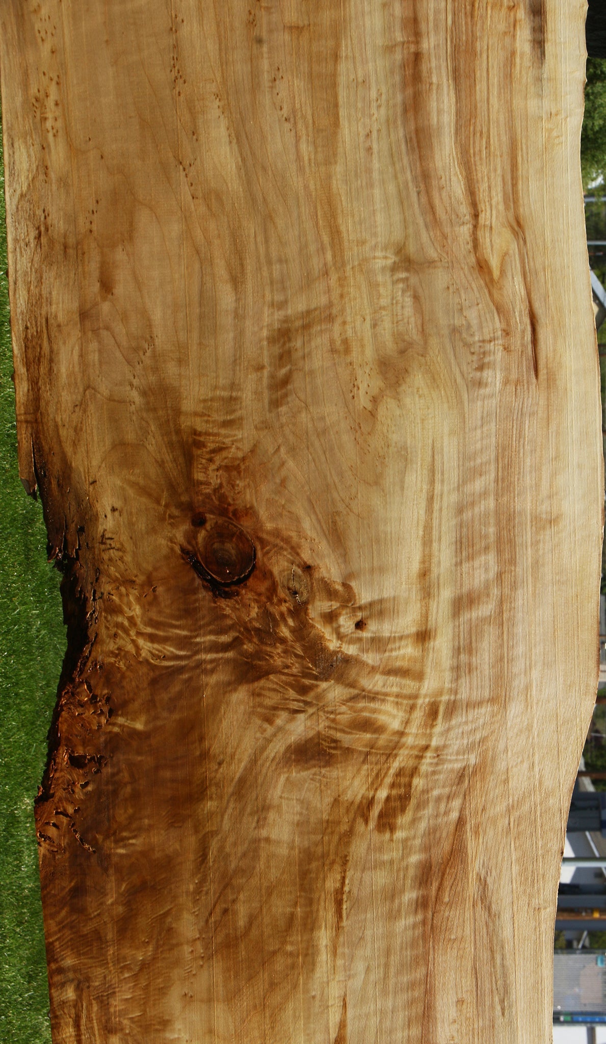 Extra Fancy Black Cottonwood Live Edge Slab