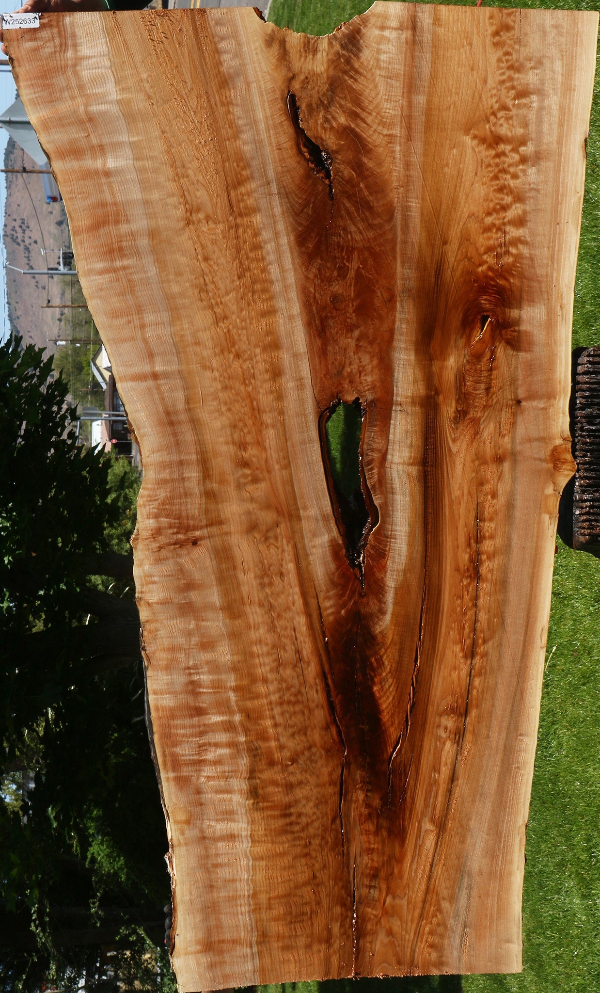 Extra Fancy Quilted Maple Live Edge Slab