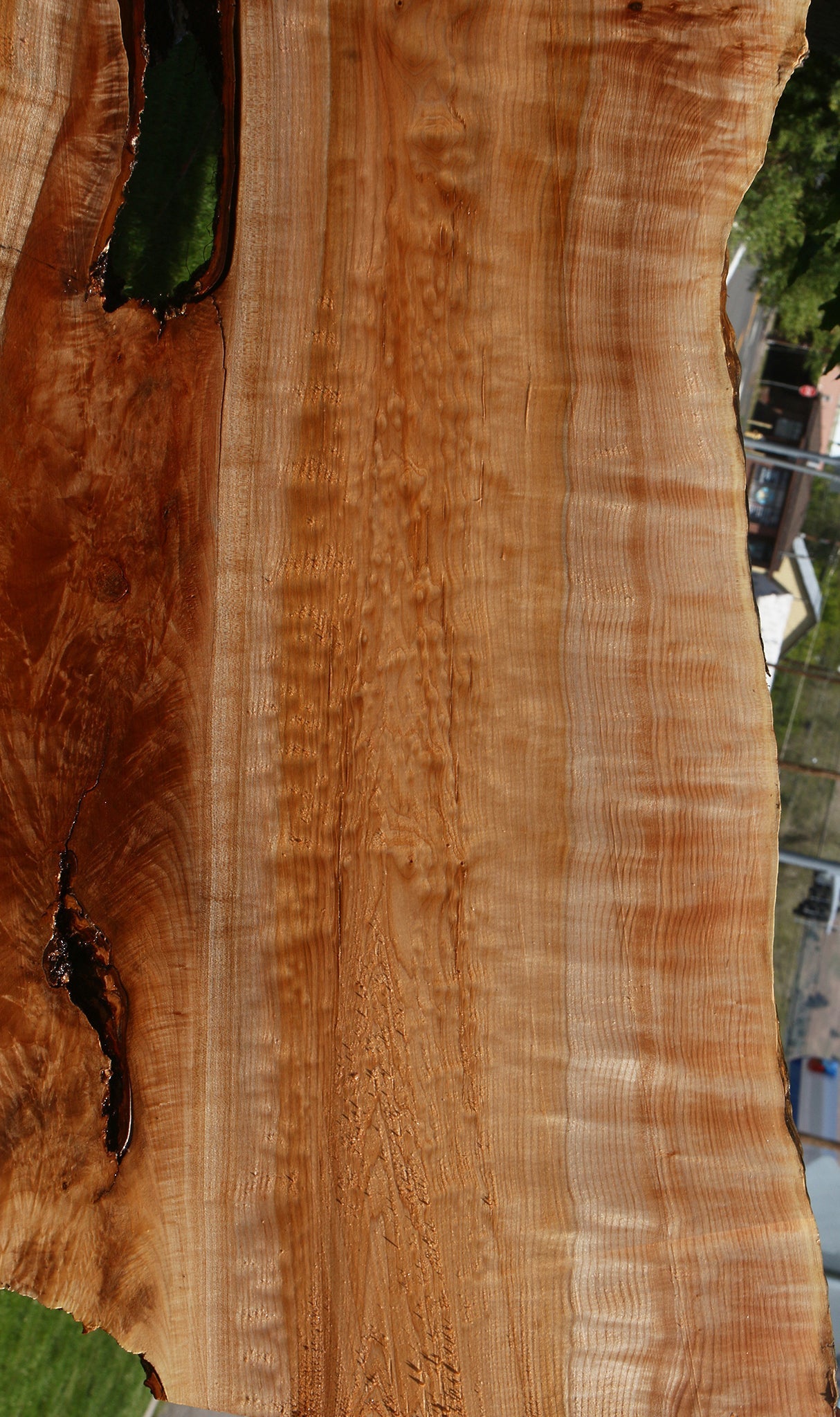 Extra Fancy Quilted Maple Live Edge Slab
