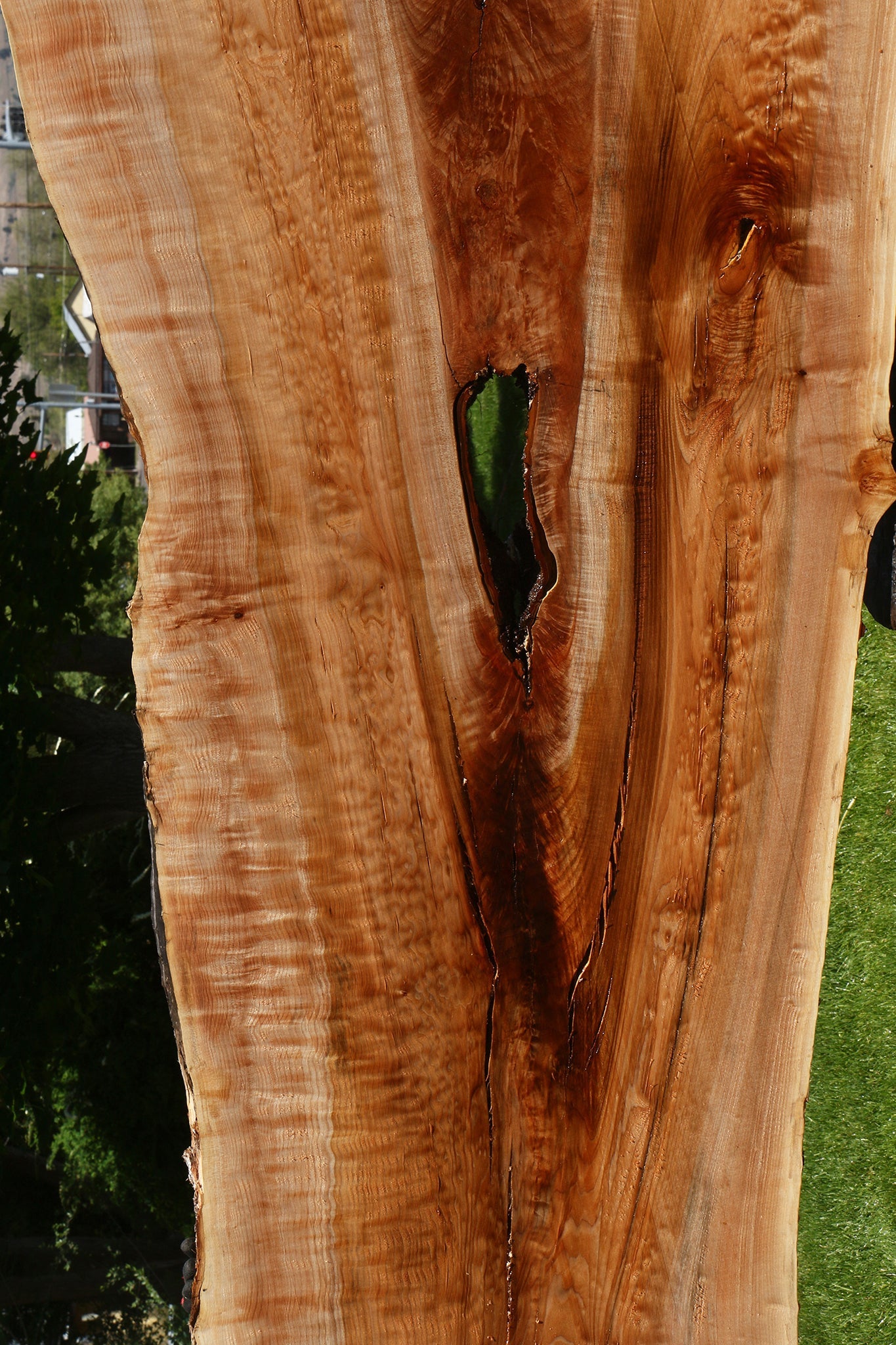 Extra Fancy Quilted Maple Live Edge Slab
