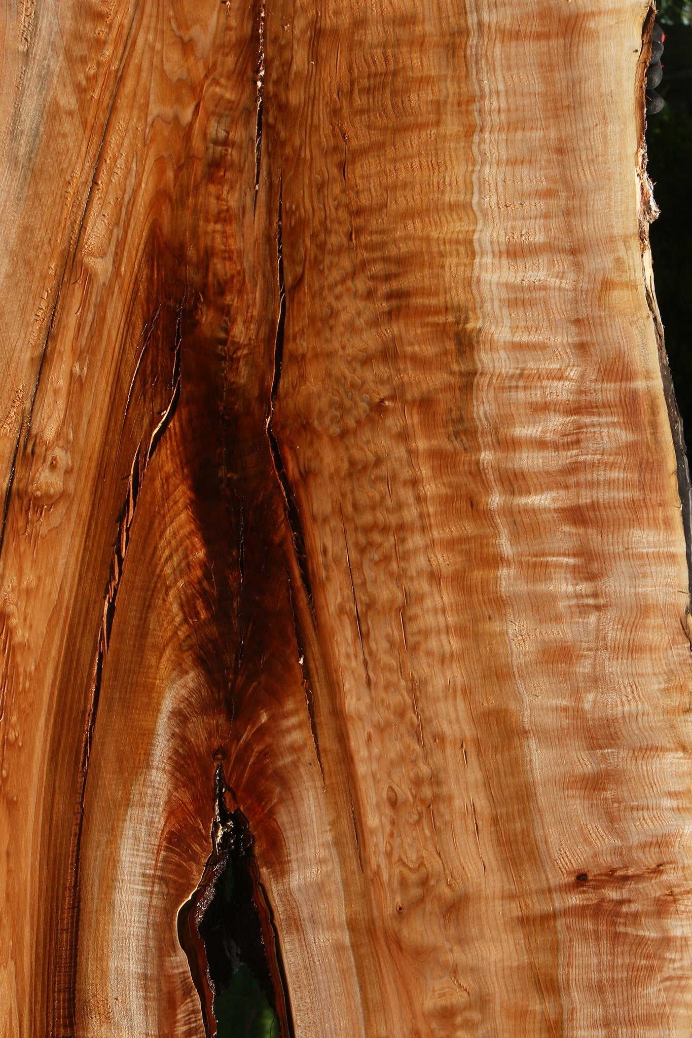 Extra Fancy Quilted Maple Live Edge Slab