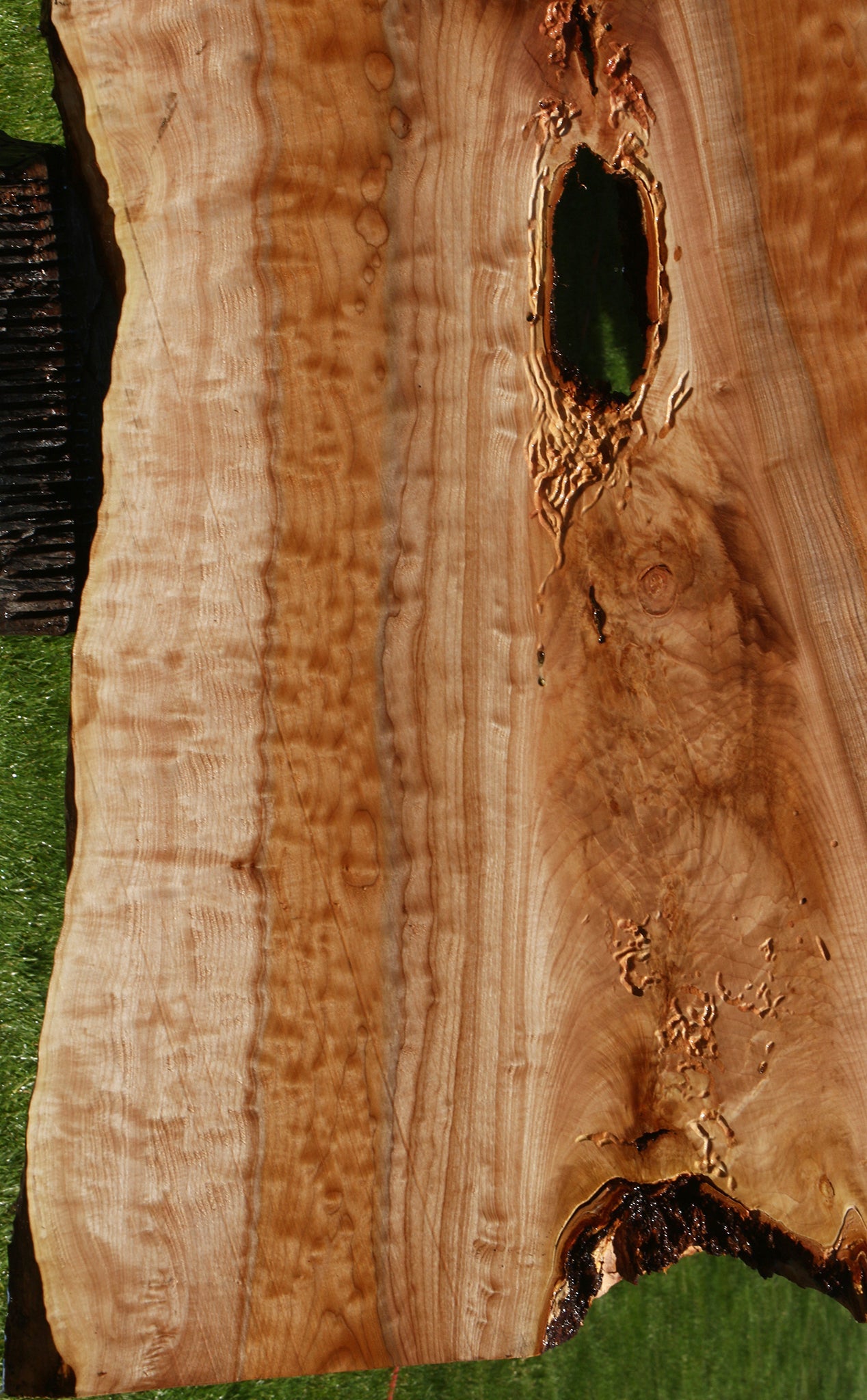Extra Fancy Quilted Maple Live Edge Slab