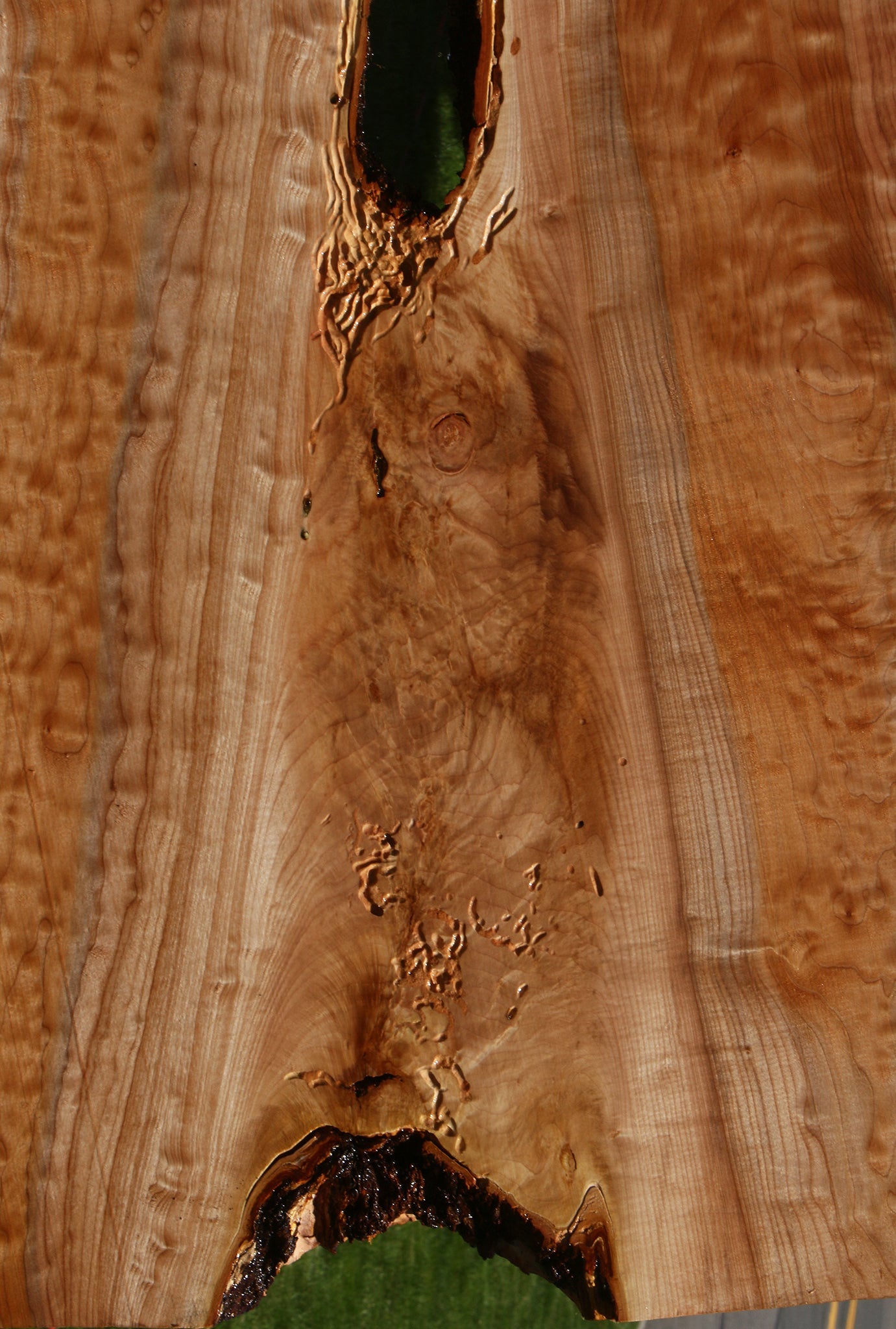Extra Fancy Quilted Maple Live Edge Slab