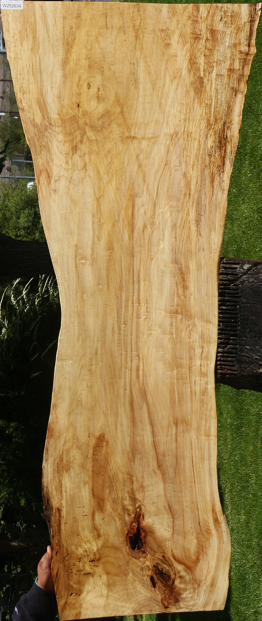 Black Cottonwood Live Edge Slab