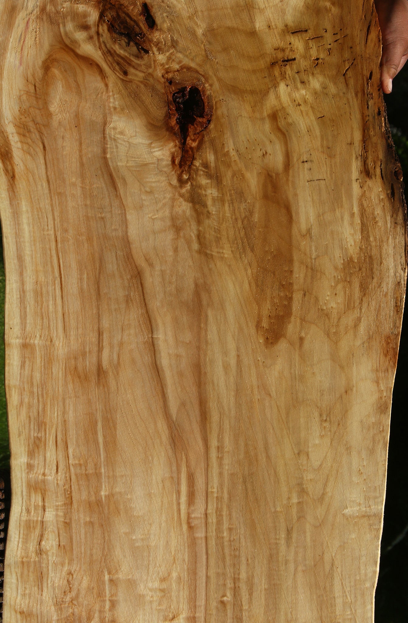Black Cottonwood Live Edge Slab