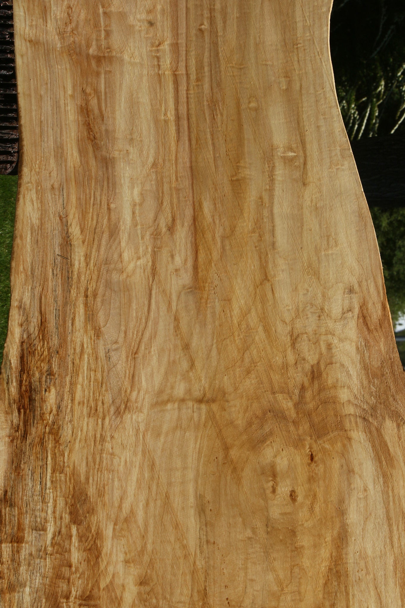 Black Cottonwood Live Edge Slab
