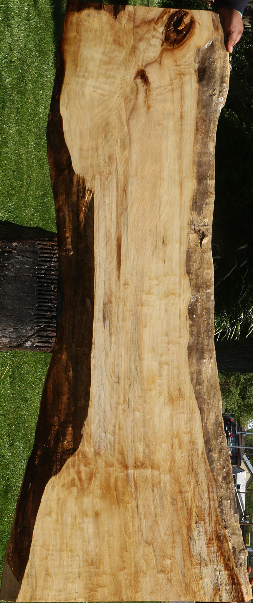 Black Cottonwood Live Edge Slab