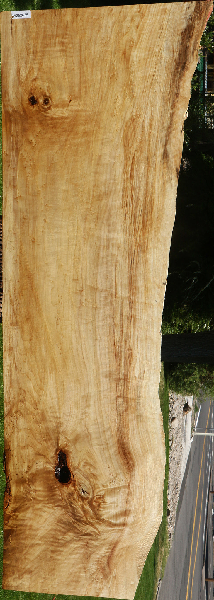 Extra Fancy Black Cottonwood Live Edge Slab