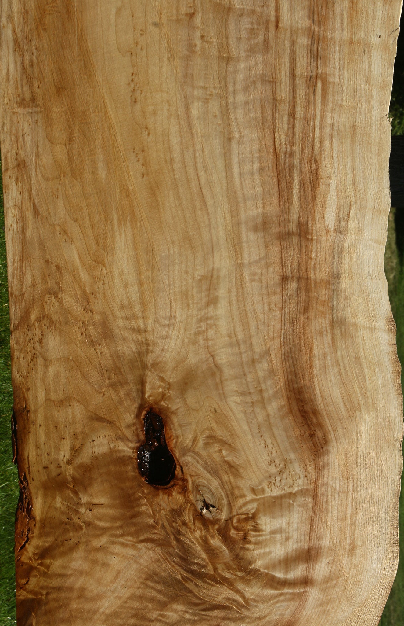 Extra Fancy Black Cottonwood Live Edge Slab