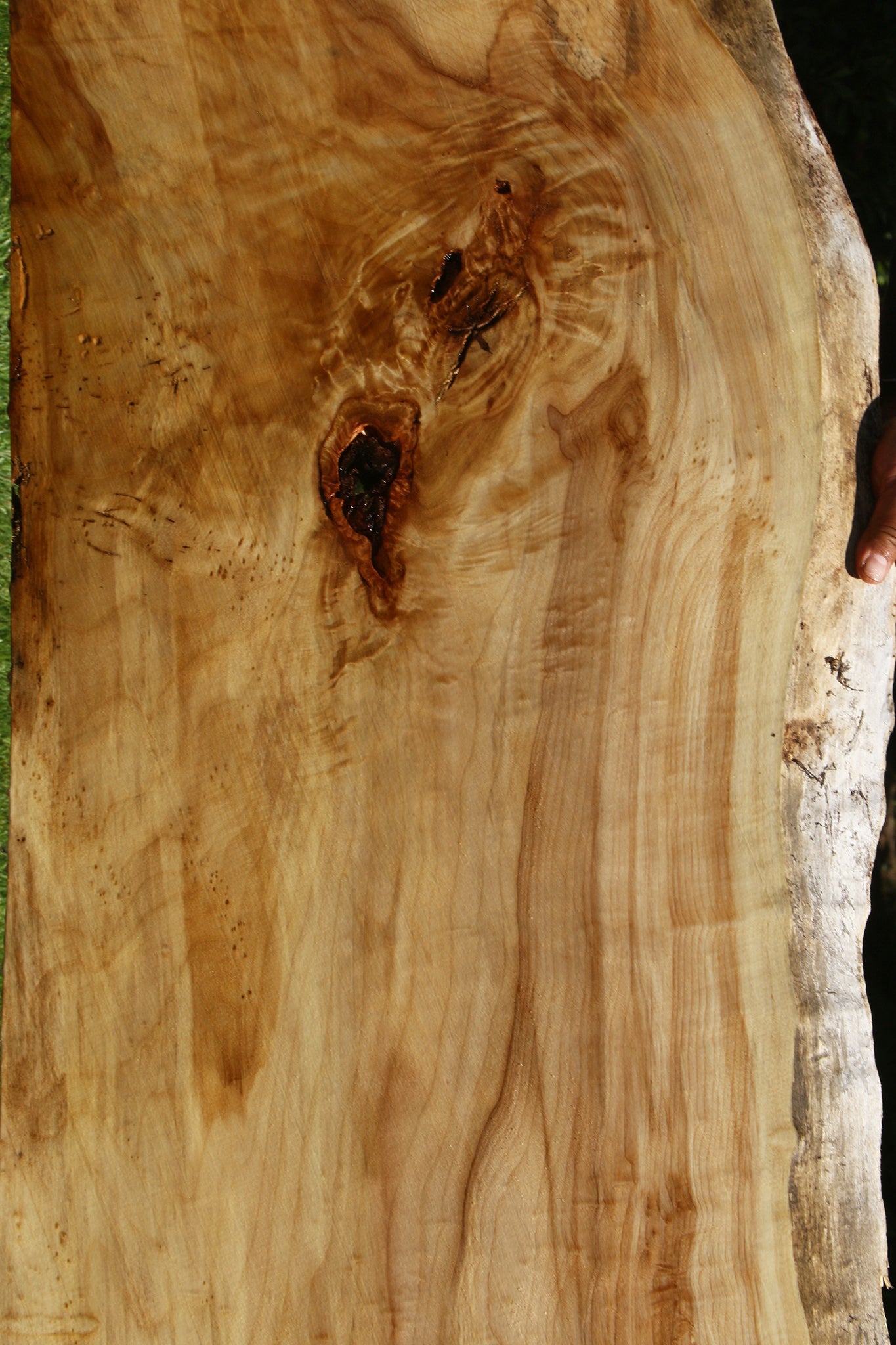 Extra Fancy Black Cottonwood Live Edge Slab