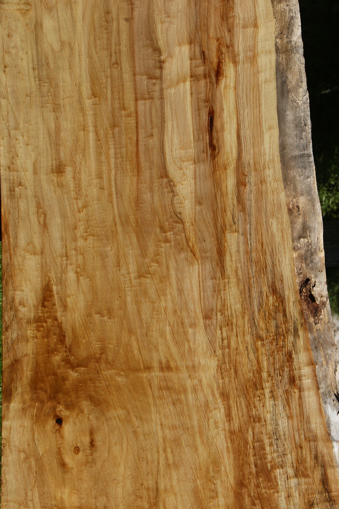 Extra Fancy Black Cottonwood Live Edge Slab
