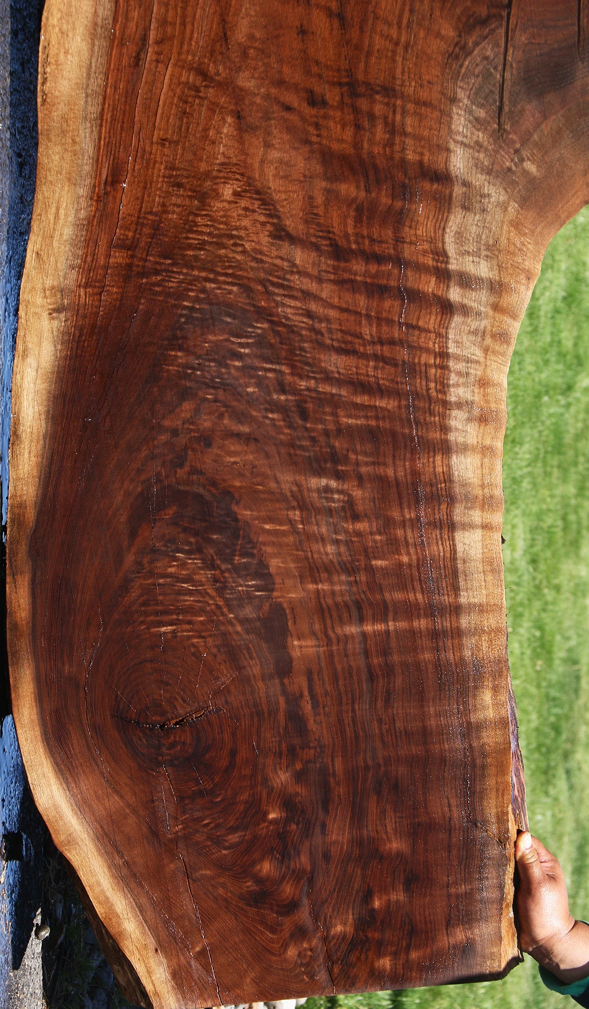Extra Fancy Rustic Claro Walnut Live Edge Slab
