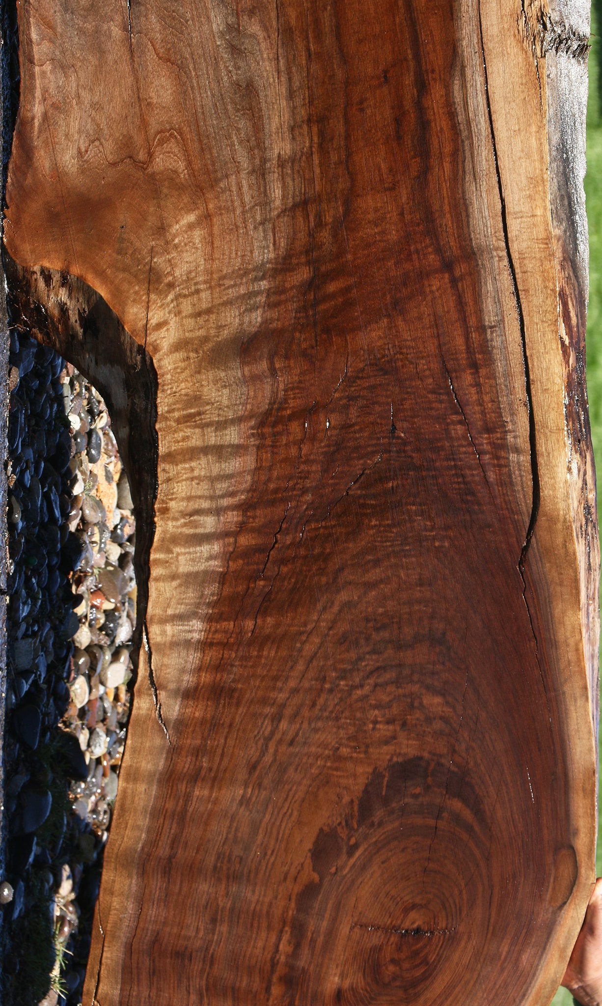 Extra Fancy Rustic Claro Walnut Live Edge Slab