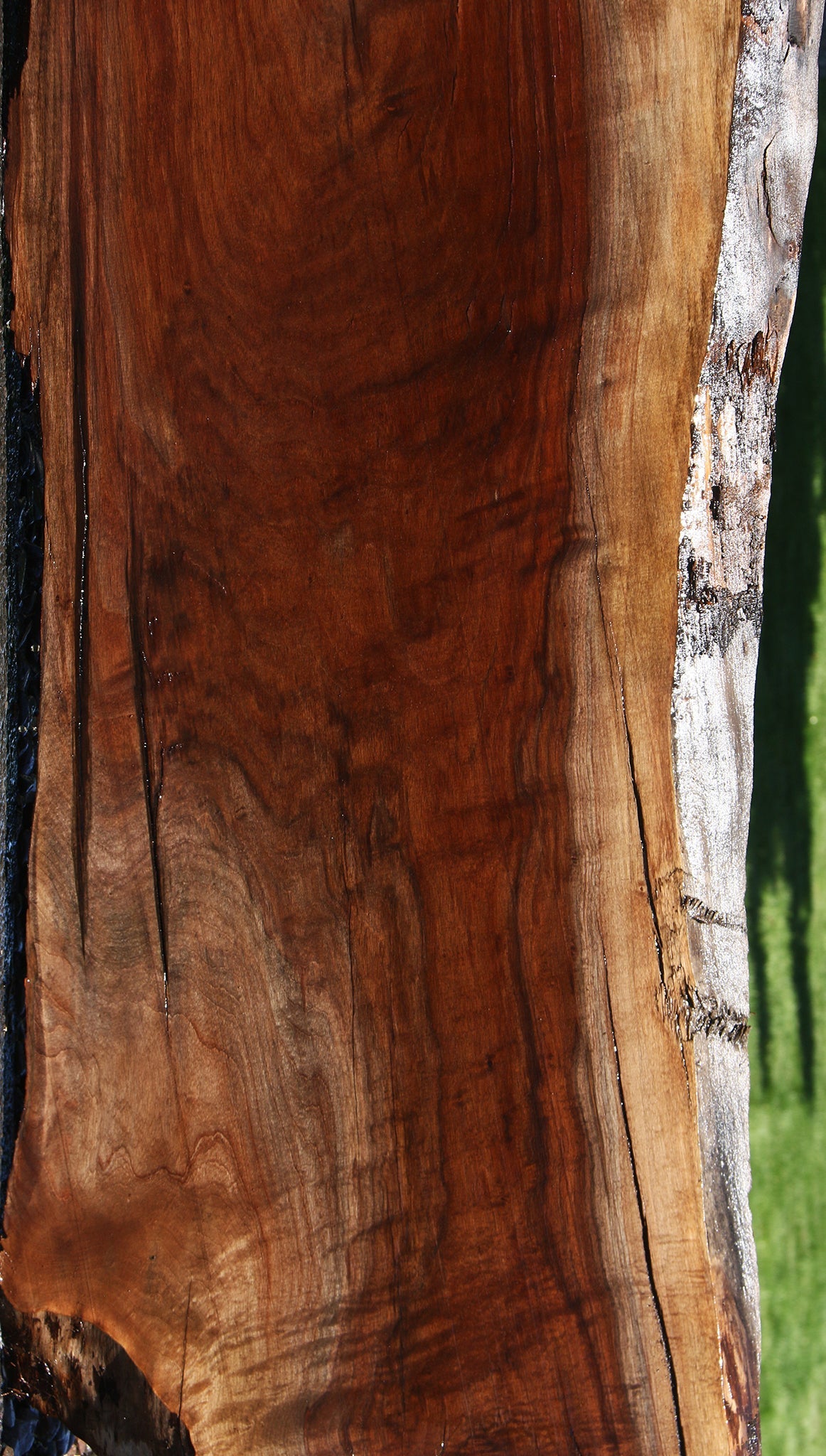 Extra Fancy Rustic Claro Walnut Live Edge Slab