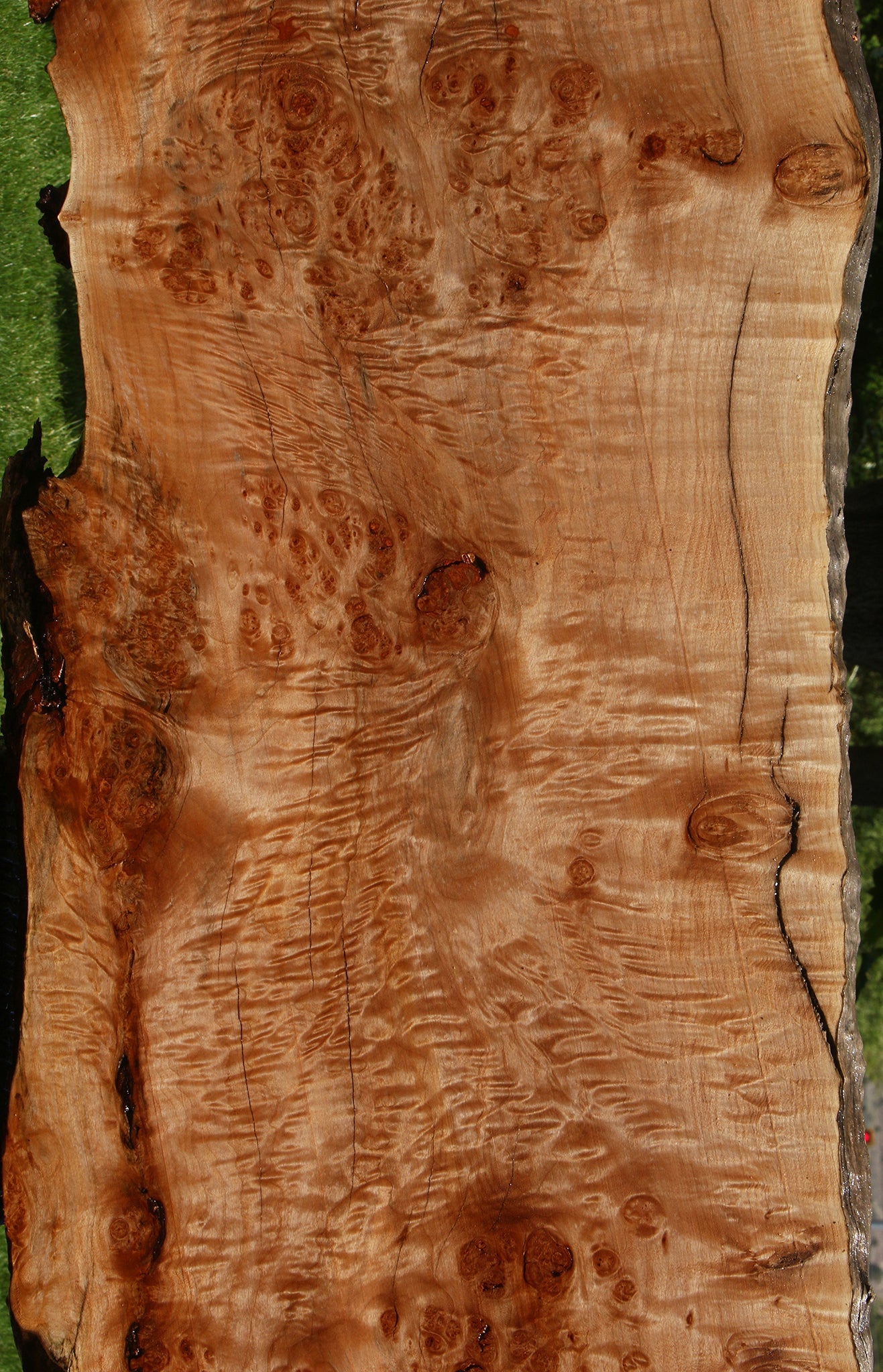Maple Burl Live Edge Slab