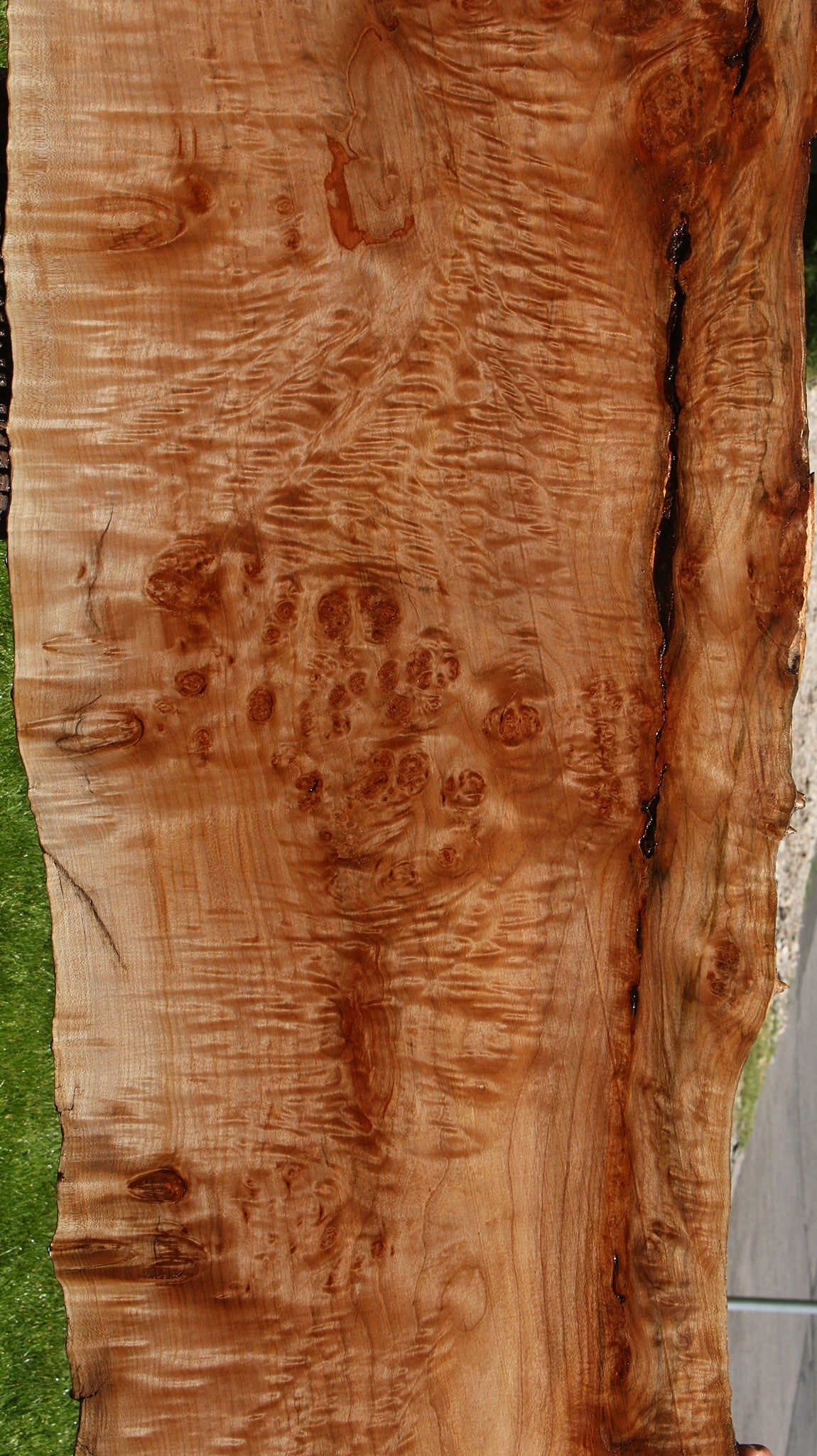 Maple Burl Live Edge Slab