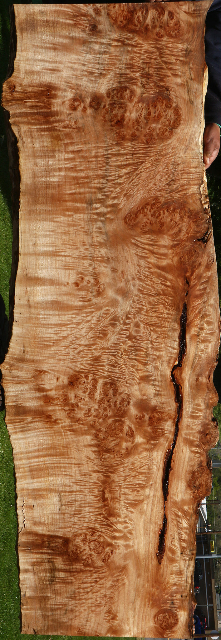 Maple Burl Live Edge Slab (Free Shipping Excluded)