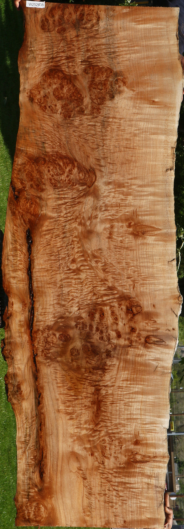 Maple Burl Live Edge Slab (Free Shipping Excluded)
