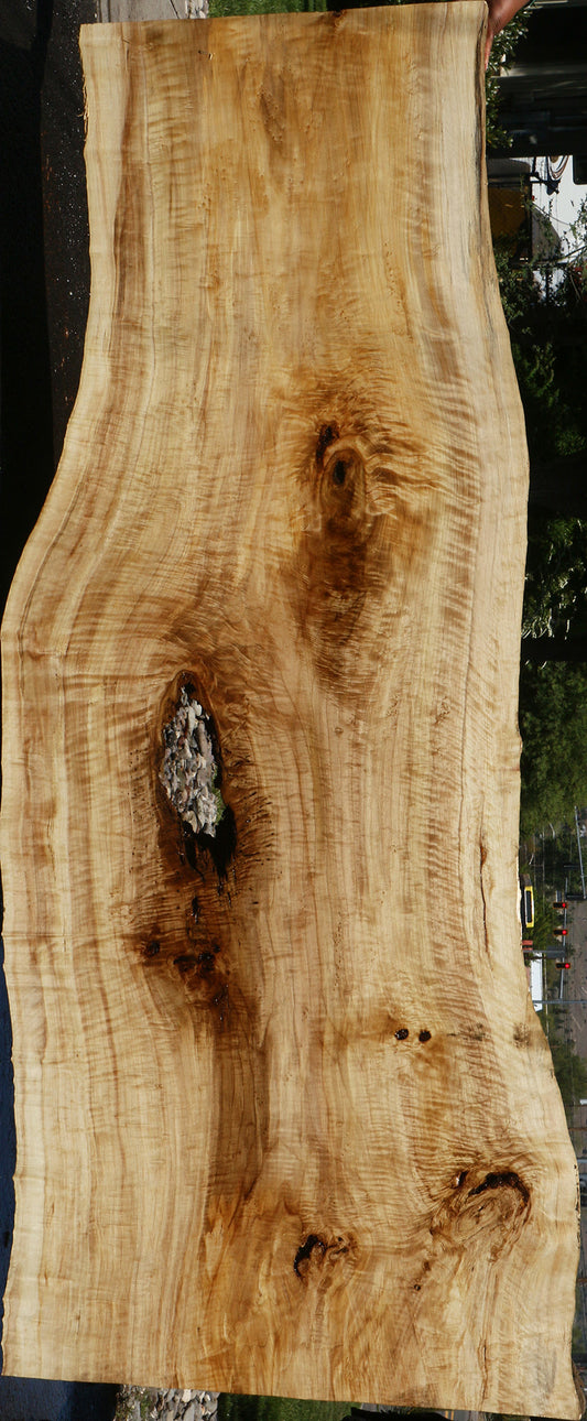 Extra Fancy Black Cottonwood Live Edge Slab