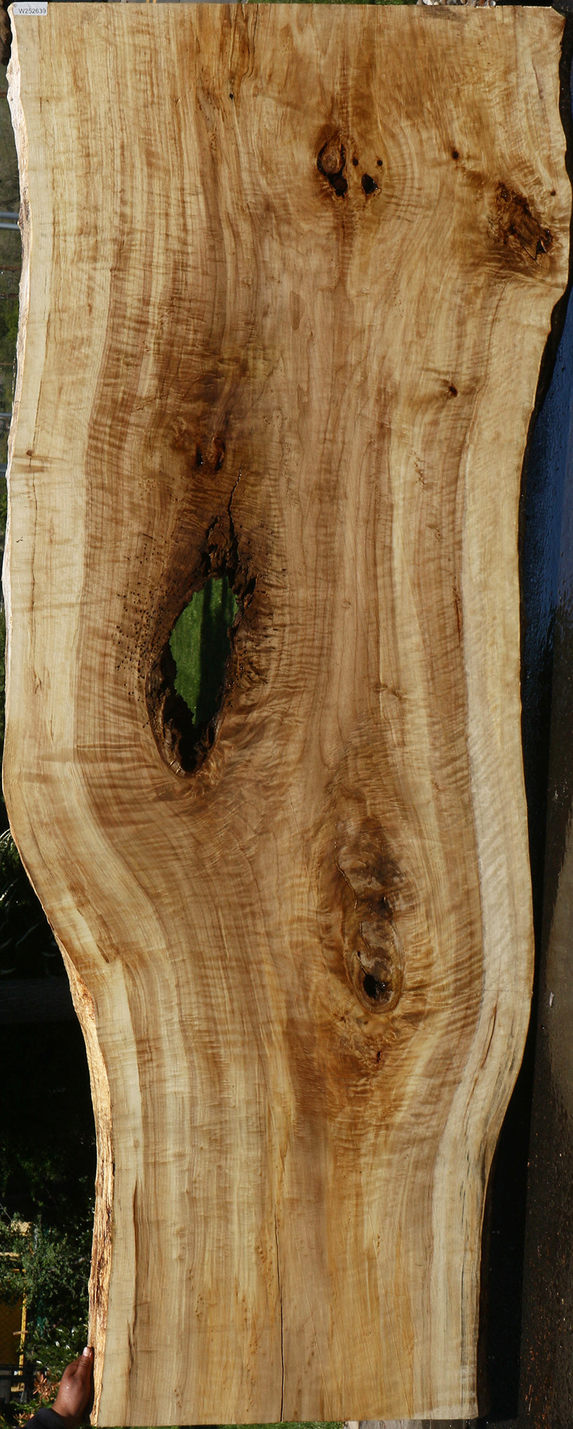Extra Fancy Black Cottonwood Live Edge Slab